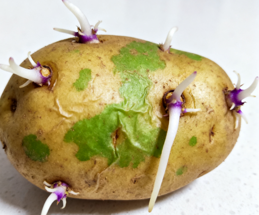 学校食堂禁用慎用食品清单​