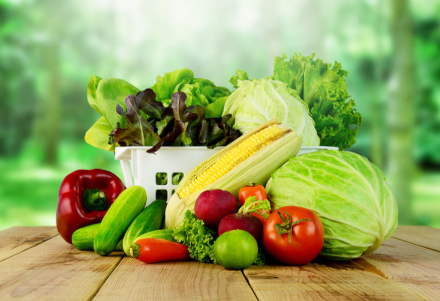 食材供应商溯源体系